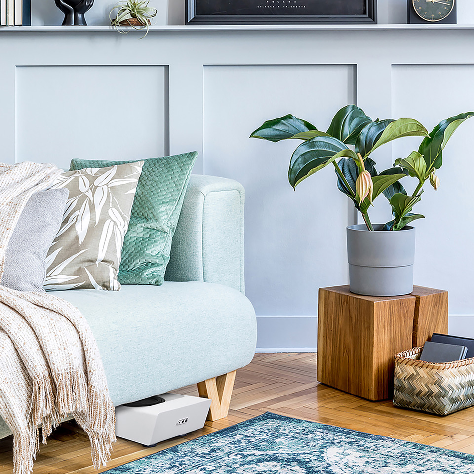 BlueSound Pulse Sub + Subwoofer Modell 2020