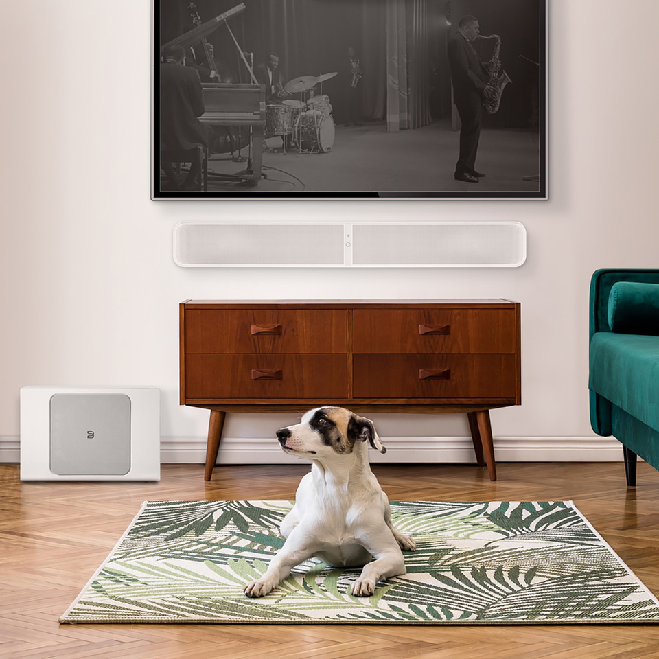 BlueSound Pulse Sub + Modell 2020