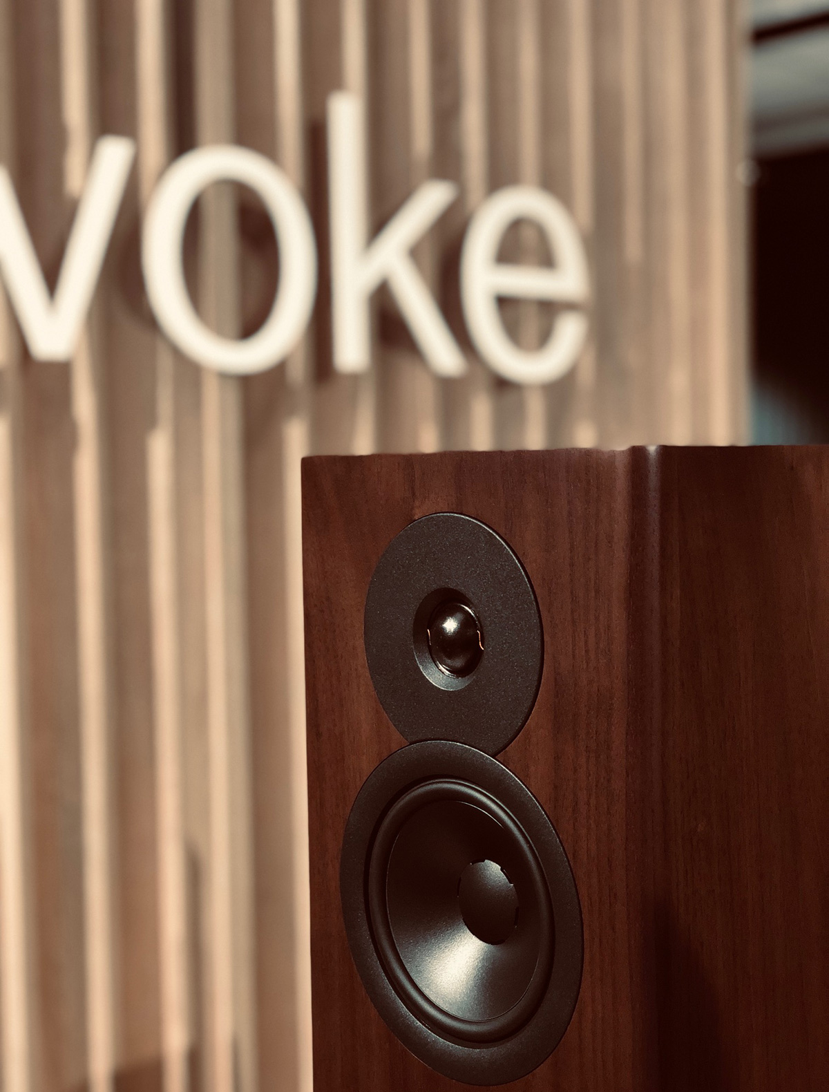 Dynaudio Evoke 30 Wood