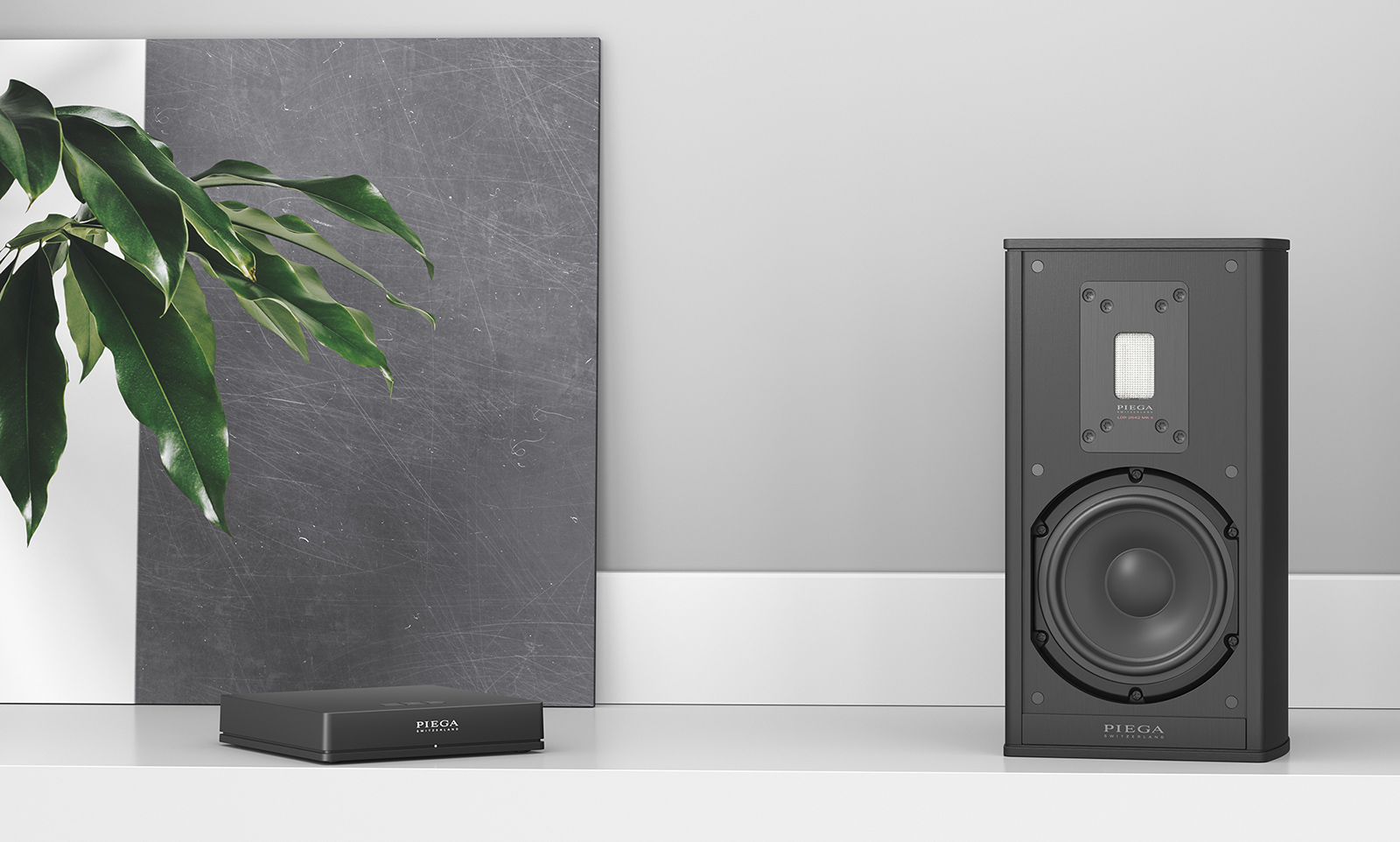 PIEGA Premium Wireless 301